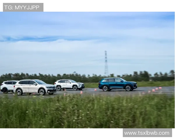 全球体育明星身价排行榜揭示运动员财富与影响力的真相