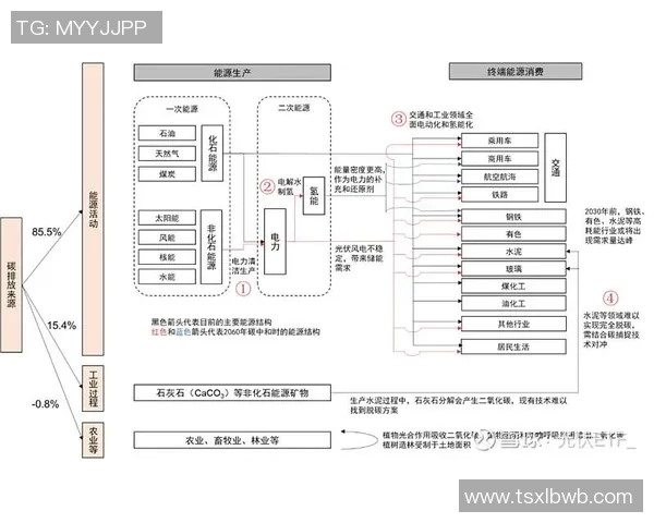 央视体育明星排名全景解析与影响力评估图解