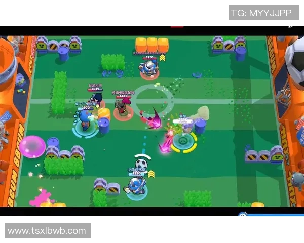 在荒野中挑战极限足球明星的生存冒险之旅 在荒野中挑战极限足球明星的生存冒险之旅