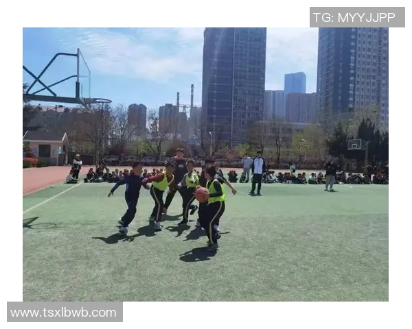 五三农场篮球明星的成长之路与梦想追逐的精彩故事