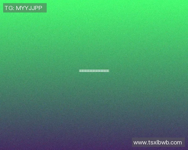 篮球明星的分级体系解析与影响力评估探讨